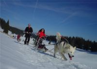 Raid avec chiens polaires : La Haute Route du Jura. Du 28 décembre 2011 au 19 mars 2012 à Bois-d'Amont. Jura. 